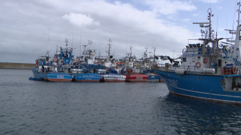 Armador do gaiado apreendido reuniu-se com Direção de Pescas (vídeo)