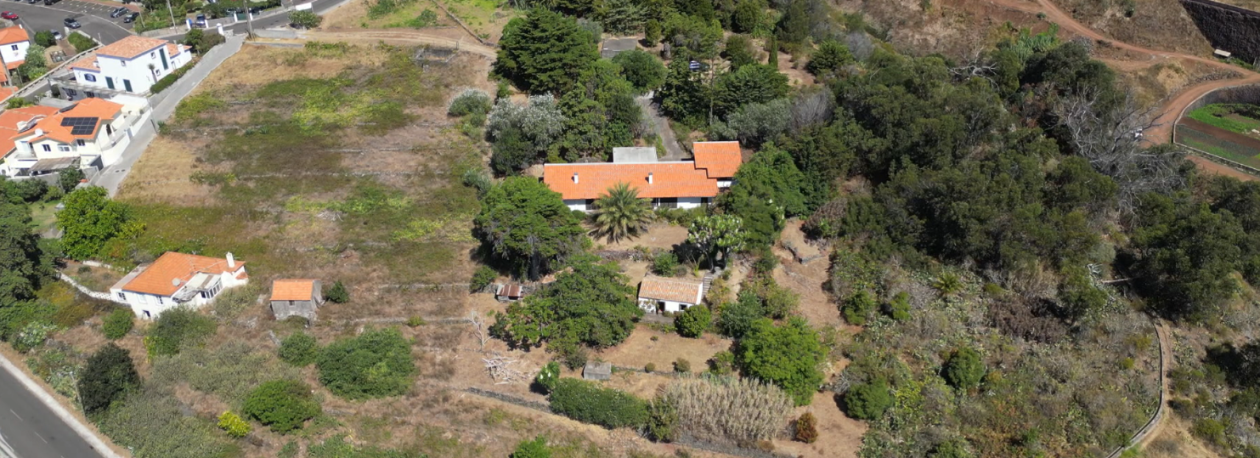 Casa de Lourdes de Castro está à venda por 4,1 milhões de euros (vídeo)