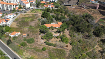 Casa de Lourdes de Castro está à venda por 4,1 milhões de euros (vídeo)