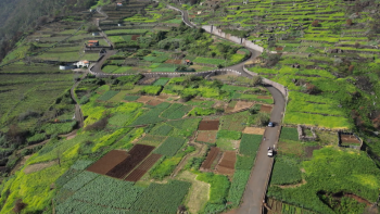 Repensar os cultivos num cenário de alterações climáticas (vídeo)