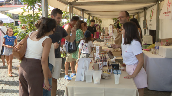 Eco Mercado de Câmara de Lobos promove a sustentabilidade (vídeo)