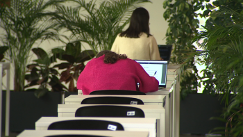 Madeira muito abaixo da média nacional na transição para o ensino superior (vídeo)