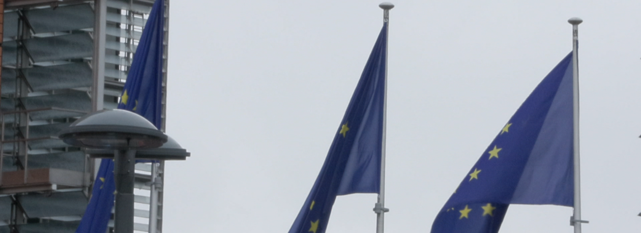 Comissão Europeia apela à redução do consumo de gás e eletricidade (vídeo)