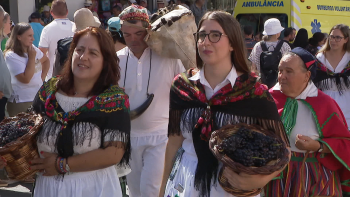 Festa das Vindimas no Estreito de Câmara de Lobos (áudio)