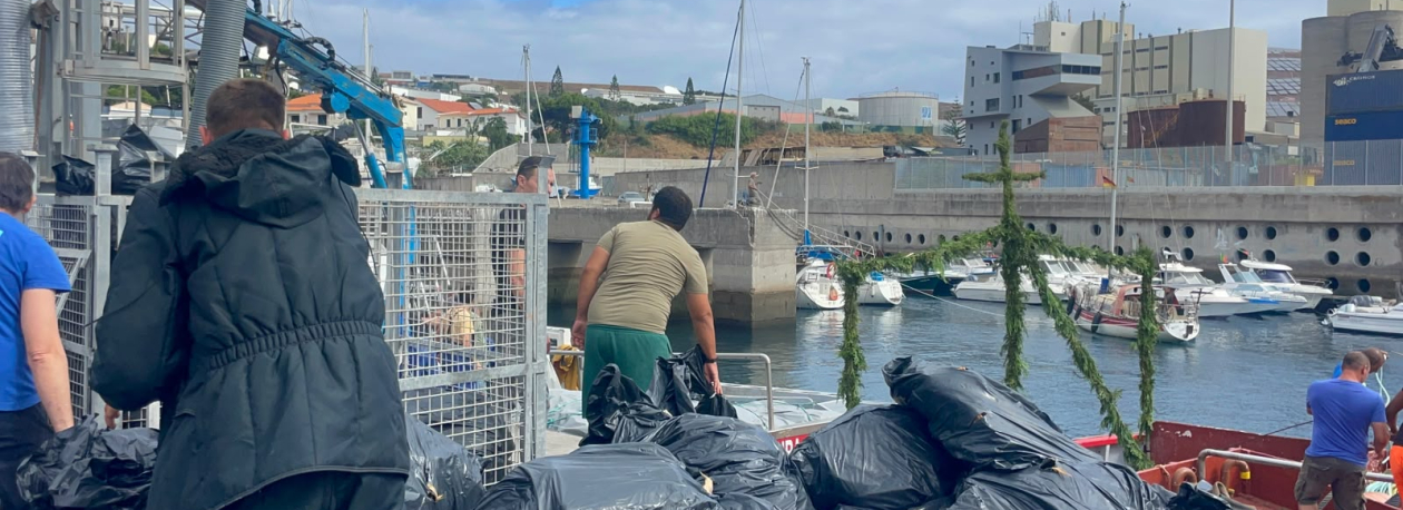 Duas toneladas de gaiado devolvidas aos pescadores (vídeo)