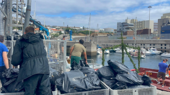 Duas toneladas de gaiado devolvidas aos pescadores (vídeo)