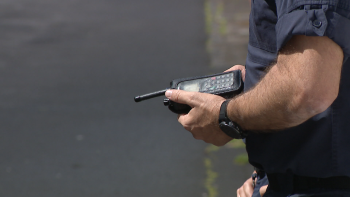 GNR deteta comércio ilegal de espécies protegidas