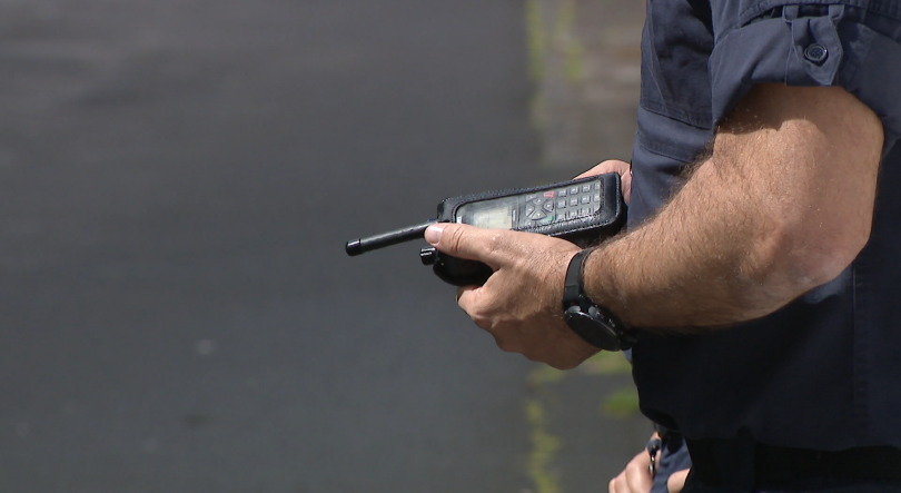 GNR deteta comércio ilegal de espécies protegidas