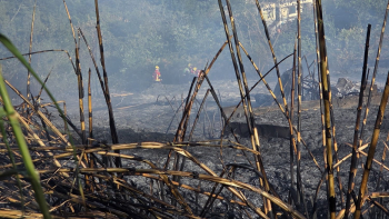 Homem israelita detido pela PSP na sequência do incêndio no Trapiche