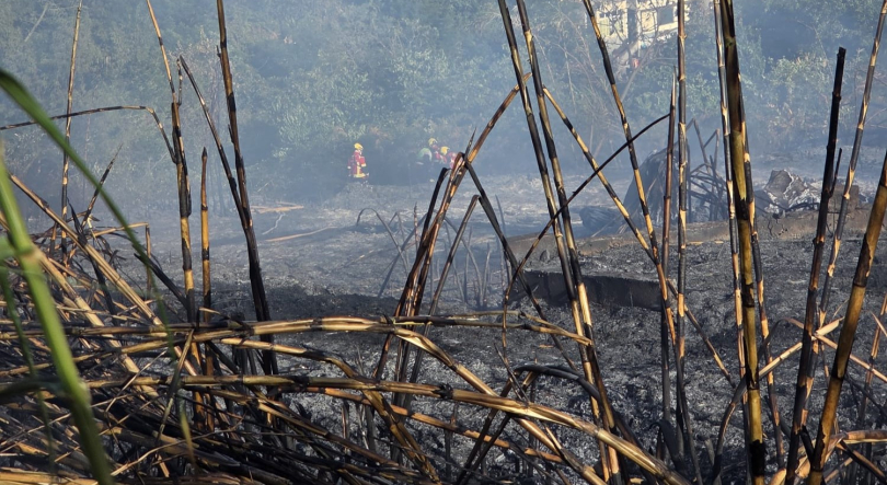 Homem israelita detido pela PSP na sequência do incêndio no Trapiche