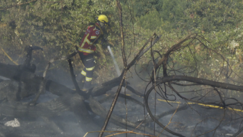 Incêndio consumiu área significativa de mato (vídeo)