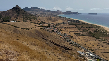 Porto Santo está a perder o ‘manto verde’ (vídeo)