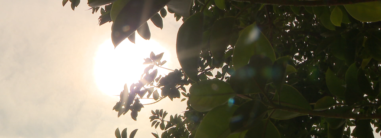 Calor veio para ficar por mais alguns dias na Madeira (vídeo)