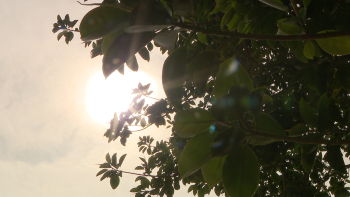 Calor veio para ficar por mais alguns dias na Madeira (vídeo)