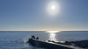 Costa sul da Madeira e Porto Santo sob aviso amarelo devido ao tempo quente até 3.ª feira