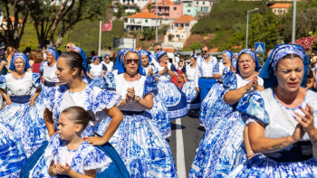 Estreito de Câmara de Lobos revive a tradição da vindima (vídeo)