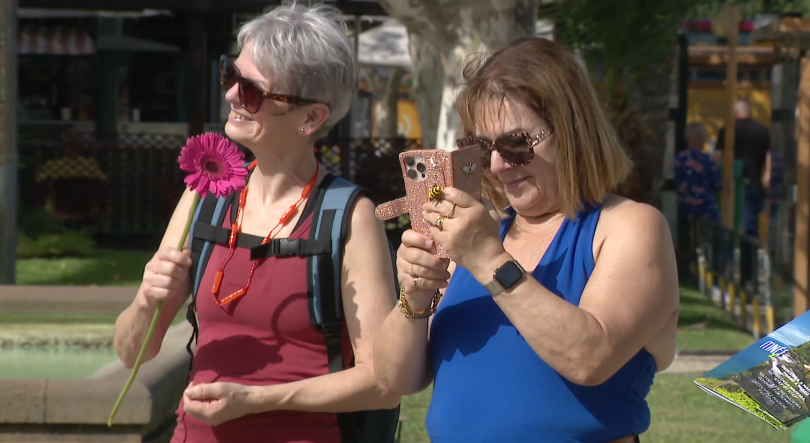 Turistas receberam bananas, flores e colares de rebuçados (vídeo)