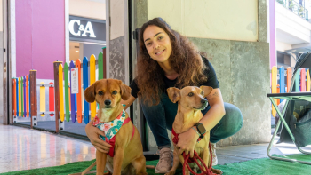 Veterinários querem desmistificar papel de médicos dos animais (áudio)