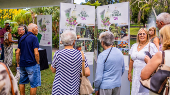 Câmara do Funchal premiou 21 pessoas no concurso ‘Cidade Florida’ (áudio)