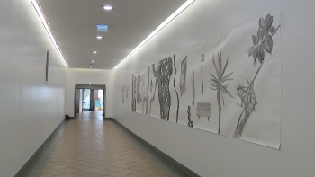 Fórum Madeira transformou um espaço de passagem em arte (vídeo)
