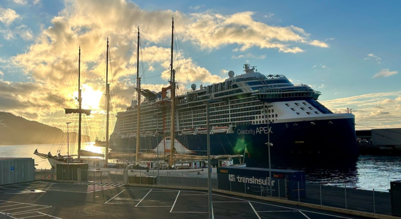 Este mês devem passar pelo porto do Funchal cerca de 75 mil passageiros