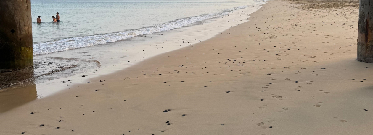 Praia do Porto Santo vai receber 170 mil metros cúbicos de areia (áudio)