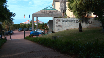 Escola Hoteleira tem novo curso para cadeias hoteleiras (vídeo)