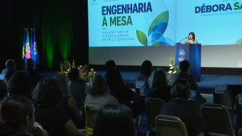 Madeira depende cada vez mais do exterior para garantir o abastecimento alimentar (vídeo)