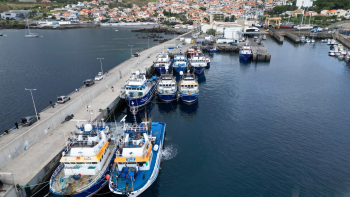 Governo Regional não está a atribuir novas licenças para embarcações atuneiras (áudio)